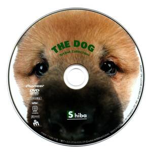 DVD／THE DOG 柴　2001年