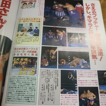 特2 51699 / 週刊プロレス 1994年12月20日号 お願いだ！馬場さん、最強タッグに優勝してジョージ・フォアマンになってくれ！_画像5