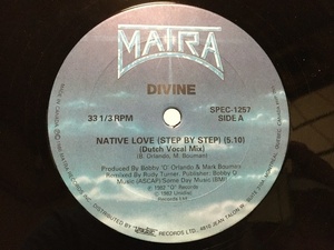 Divine ディヴァイン Native Love/Hotline ホットラインGuilty 12inch 