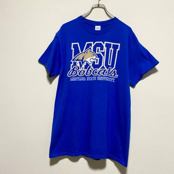 アメリカ古着　モンタナ州立大学　カレッジプリント　半袖Tシャツ　GILDAN　ギルダン　Mサイズ　コットン　【J616】