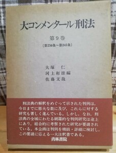 大コンメンタール刑法　第9巻