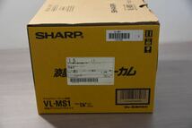 デジタルビデオカメラ SHARP シャープ VL-MS1 Y40_画像3