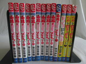 池山田剛の漫画3種類12冊＆小説1冊　計13冊　不揃い　抜けあり　０６－０４１０（B）