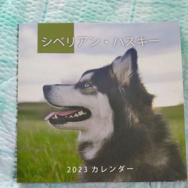 シベリアンハスキー カレンダー: 素晴らしいギフト18か月のカレンダー2023年の美しい写真