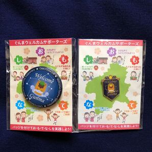 激レア非売品 ぐんまちゃん ピンバッジ&缶バッジ ぐんまウェルカムサポーターズ 群馬DC