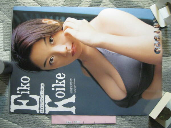 小池栄子 カレンダー 全7枚 (表紙+6枚/Ｂ２サイズ) 2002年 おそらく新古品