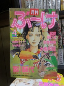 月刊ぶーけ　　　　　　１９８９年４月号　　　　　　　ヤケシミ