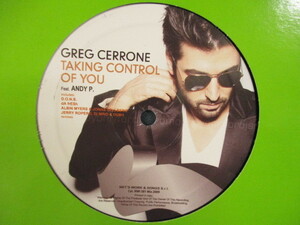 Greg Cerrone ： Taking Control Of You 12'' // ELECTRO HOUSE / 5点で送料無料