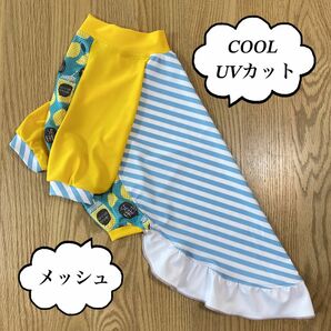 犬服　大型犬・中型犬　3L　UV・COOL服　バイアスボーダー×メッシュレモネード×YE袖　七分袖　ワンピ風