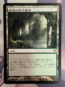 MTG　《新緑の地下墓地/Verdant Catacombs》　ZEN　日本語