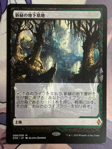 MTG　《新緑の地下墓地/Verdant Catacombs》　ZNE　日本語