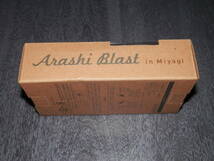 ★嵐 ARASHI BLAST in Miyagi LIVE TOUR 2015年 宮城限定公演 公式グッズ イヤホン　未使用品？_画像3