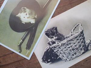 ビンテージ雑貨・1981年復刻版・猫のアンチックポストカード・2枚セット・N☆アンティーク絵葉書