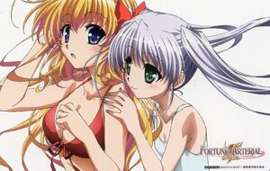 「FORTUNE ARTERIAL -フォーチュン アテリアル- 赤い約束」 ソフマップ DVD/BD全巻連動購入特典テレカ6141（千堂瑛里華＆東儀白）