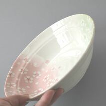大鉢 皿セット 桜_画像3