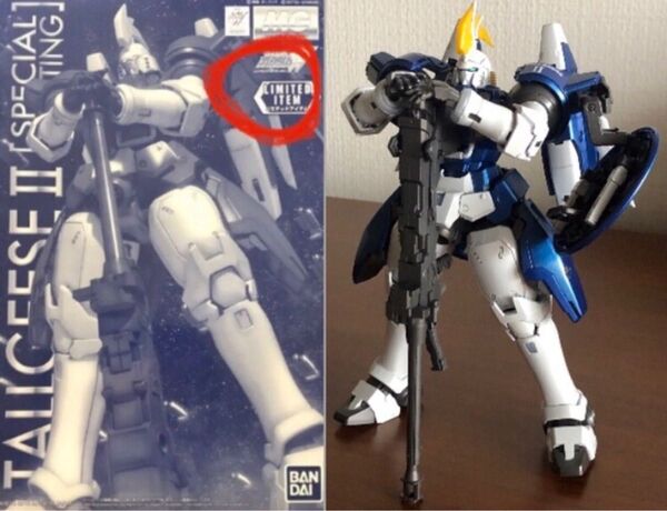 MG ガンダム プラモデル