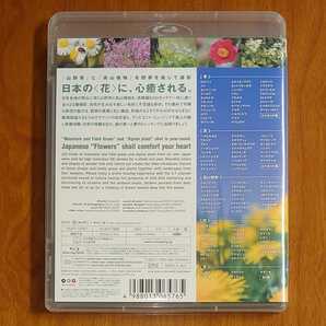 virtual trip 花 Flowers 四季の山野草と高山植物 Blu-ray セル版…k-829/PCXP10057/BD/BGVの画像2