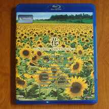 花 Scenery with Flowers V-music Blu-ray セル版 名曲+NHKハイビジョン映像…k-827/BVXH11005/BD/BGV/BMG_画像1