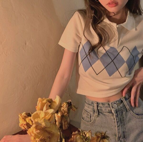 L アーガイル柄 ポロカラー ショート丈 Tシャツ 女性 スリムフィット オールマッチホットガール 半袖トップス ポロシャツ