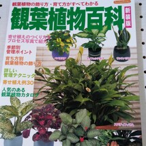 観葉植物百科 新装版 (Boutique books)_画像1