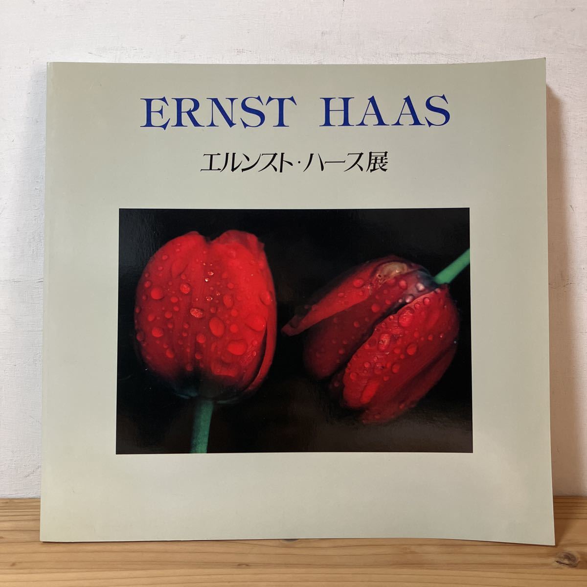 Ernst Haas :Color Correction】Ernst Haas/エルンスト・ハース写真集