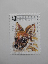 ブルガリア 切手 1991 愛玩犬 3945_画像3