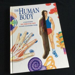 人体の仕組み The human body 洋書　英語　イラスト　図鑑　解剖　しかけ絵本
