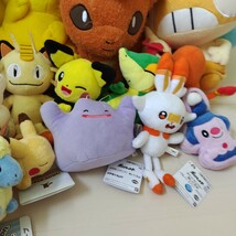 ポケットモンスター ポケモン ぬいぐるみ ピカチュウ まとめ 大量セット ポケモンセンター 一番くじ 色違い イーブイ pokemon P2-T_画像3