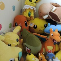 ポケットモンスター ポケモン ぬいぐるみ ピカチュウ まとめ 大量セット ポケモンセンター 一番くじ 色違い イーブイ pokemon P2-T_画像4