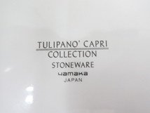 ★YC7372　TULIPAN CAPRI　プレート　4枚セット　STONE WARE　大皿　盛皿　レトロ　アンティーク　洋食器　送料無料★_画像6