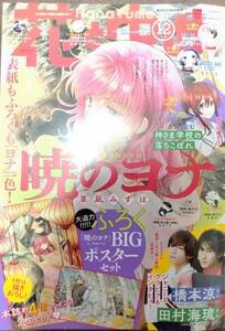 【美品】花とゆめ　12/2023.6.5　号　付録なし　本誌のみ　1202号　暁のヨナ