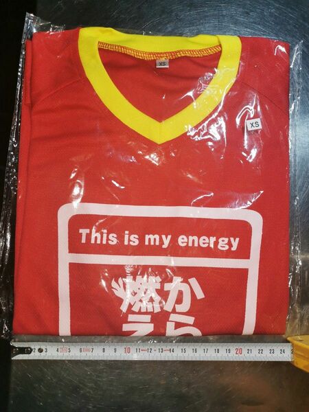 Tシャツ サイズXS 多分半袖 新品未開封未使用 からだ燃える 919Japan ルネサンス 