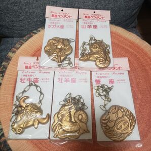 ルームアクセサリー 星座ペンダント 水瓶座 牡羊座 牡牛座 蟹座 山羊座 5種す