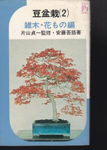  бобы бонсай (2). дерево * цветок было использовано сборник / бобы бонсай (3) сосна Kashiwa сборник одна сторона гора . один * дешево глициния ..( работа ), 2 шт. 