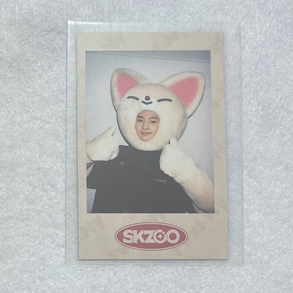 Stray Kids アイエン SKZOO ポラロイド トレカ