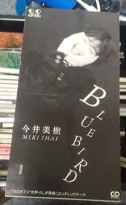 今井美樹 BLUE BIRD(CDS)