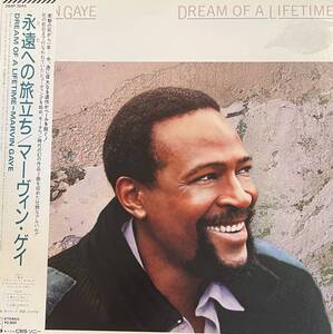 LP MARVIN GAYE マーヴィン・ゲイ DREAM OF A LIFE TIME 永遠への旅立ち