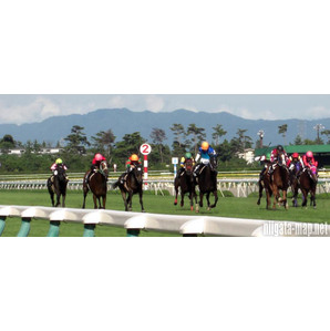 とてつもない競馬商材！ 競馬初心者でも競馬で的中し利益をだす究極の方法！スーパーバージョン！（ダートバージョン。）の画像1