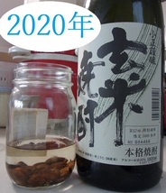 びわ　種　エキス　玄米焼酎　無農薬 2020年　　容量390～420g　_画像1