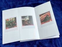 David Sylvian Glowing Enigmas Exhibition Catalogue limited edition of 1000 デヴィッドシルヴィアン ポラロイド作品集 限定1000部_画像5