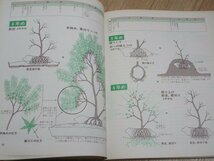 図解 雑木盆栽の仕立て方　ガーデンライフ別冊 誠文堂新光社/昭和49年_画像6