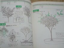 図解 雑木盆栽の仕立て方　ガーデンライフ別冊 誠文堂新光社/昭和49年_画像7