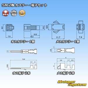 JST 日本圧着端子製造 SM 2極 カプラー・端子セット