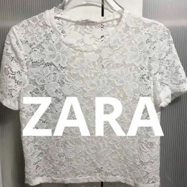 ZARA ザラ　花柄レース クロップド半袖Tシャツ　S