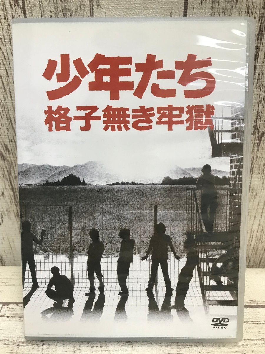 日本最大級 少年たち 格子無き牢獄〈2枚組〉 その他 - education.semel