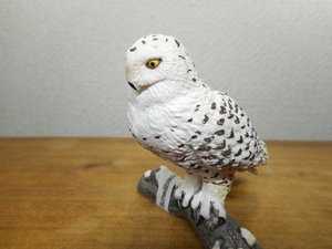 ドイツ　シュライヒ　Schleich　シロフクロウ　動物　フィギュア　梟　フクロウ