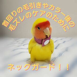 インコ エリザベスカラー(ネックガード)2個セット・3サイズ・2g・追跡番号付き