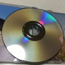 【合わせ買い不可】 NEW KINGDOM CD the peggies_画像7