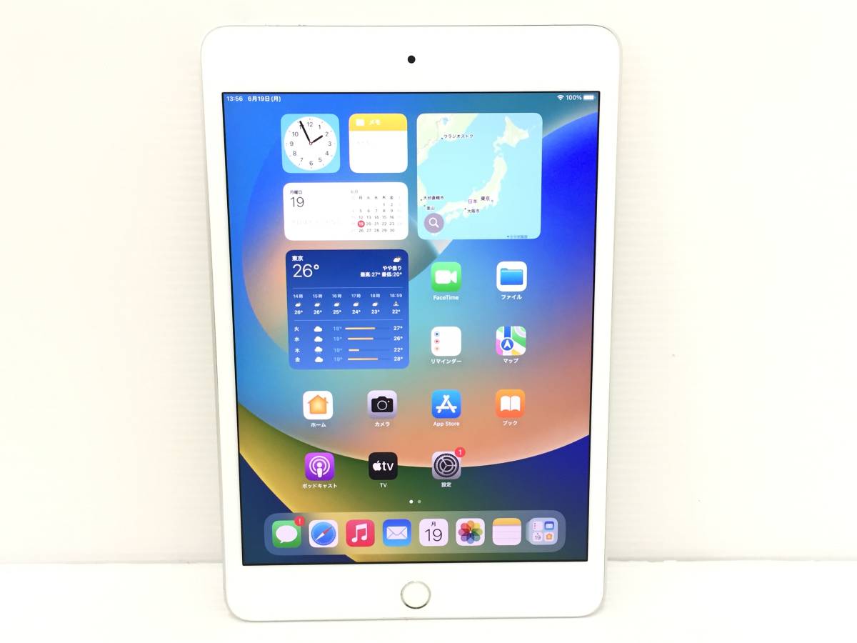 DJ687 SIMフリー iPad mini 第5世代 Wi-Fi+Cellular A2124 スペース