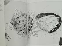 Fine Lines　Vladimir Nabokov’s Scientific Art　ウラジーミル・ナボコフ 蝶 butterfly drawing_画像6